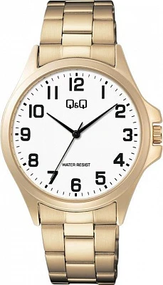 Наручные часы Q&Q C36AJ016Y