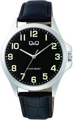 Наручные часы Q&Q C36AJ014Y