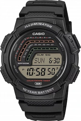 Наручные часы Casio WS-1800-1A