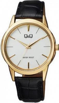 Наручные часы Q&Q Q860J101Y