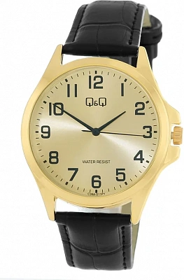 Наручные часы Q&Q C36AJ011Y