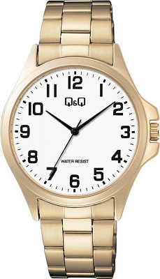 Наручные часы Q&Q C36AJ016Y