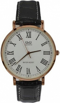 Наручные часы Q&Q Q978J808Y