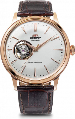 Наручные часы Orient RN-AG0004S