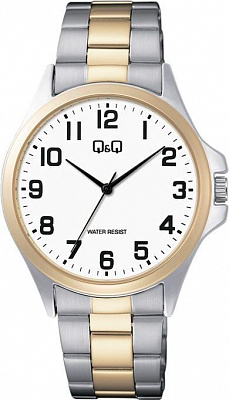 Наручные часы Q&Q C36AJ017Y