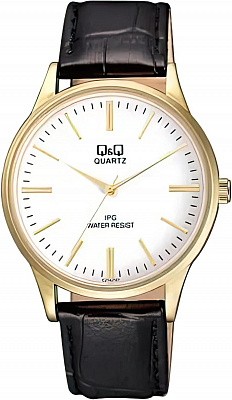 Наручные часы Q&Q C214J101Y